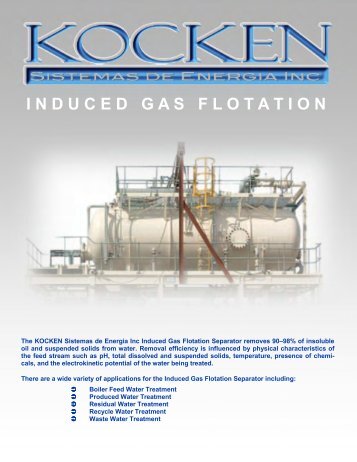 E08b - Induced Gas Flotation - Kocken