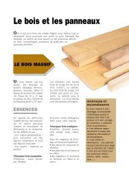 Menuiserie - Le Bois Et Les Panneaux.pdf - Pays Loudunais