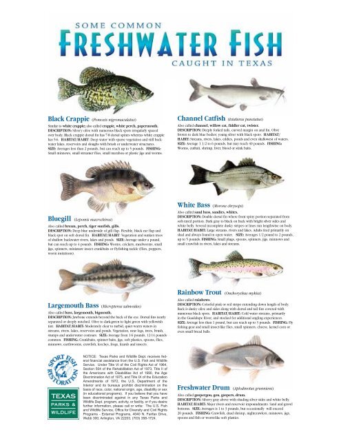 Fresh and Saltwater fish identification card - The State of Water