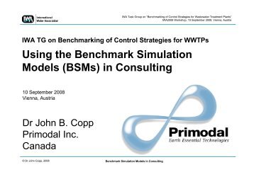 Why and how to use BSM1 and BSM2 in consulting