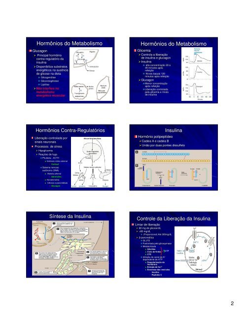 Controle Hormonal do Metabolismo