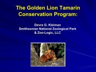 The Golden Lion Tamarin Conservation Program: - Environmental ...