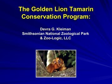 The Golden Lion Tamarin Conservation Program: - Environmental ...