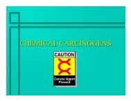Chemical Carcinogens (PDF)