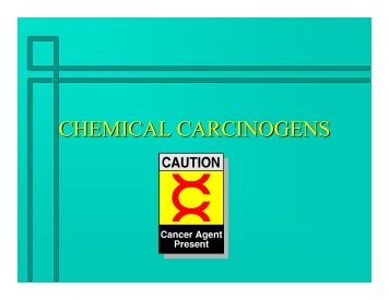 Chemical Carcinogens (PDF)