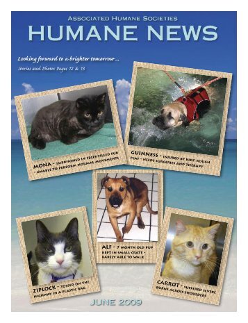 Looking forward to a brighter tomorrow - Associated Humane Societies