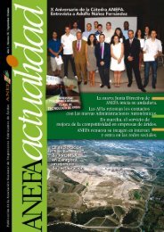 nÂº 26 (octubre de 2011) - Anefa