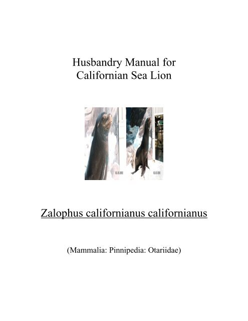 Husbandry Manual for Californian Sea Lion - Nswfmpa.org