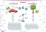 Folie 16: CO2 AusstoÃƒÂŸ - CO 2 Bindung - Format-X