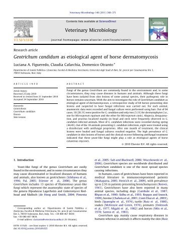 Geotrichum candidum as etiological agent of horse dermatomycosis