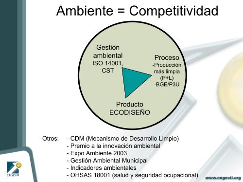 Gestion Ambiental CEGESTI.pdf