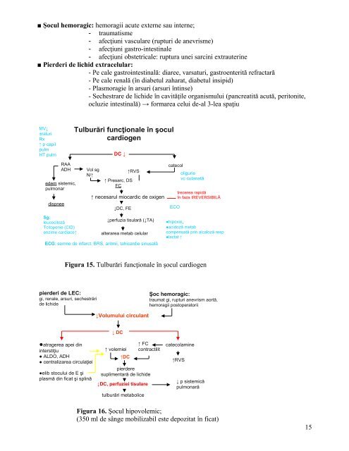 Curs 10 - OvidiusMD