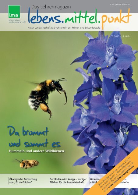 Unterrichtsmaterialien - Bienenkoffer