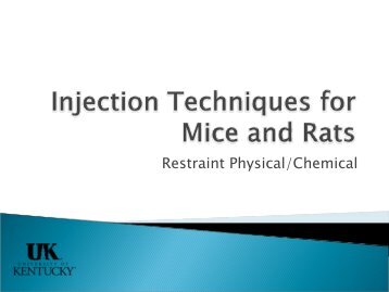 Injection Techniques for Mice and Rats - Research