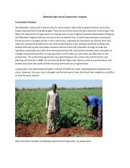 Makuleke Agricultural Cooperative: Limpopo Commodity: Potatoes ...