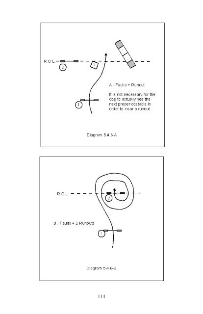 AKC Agility Judges Guidelines