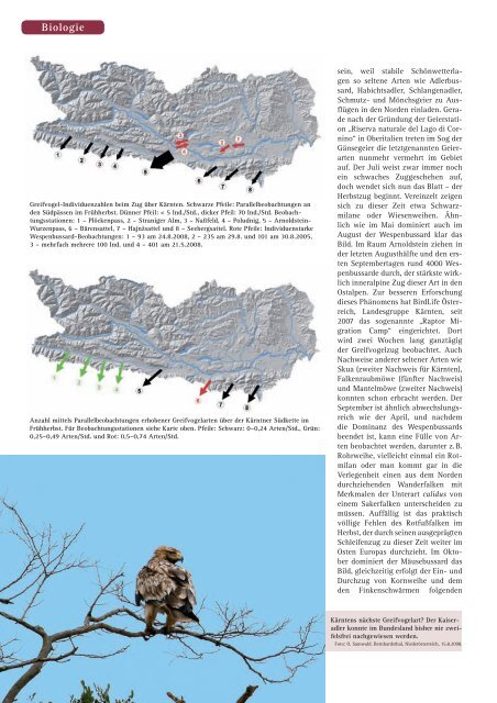 Vogelwelt der Alpen - BirdLife Österreich