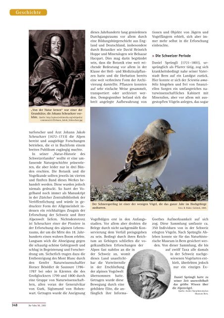 Vogelwelt der Alpen - BirdLife Österreich