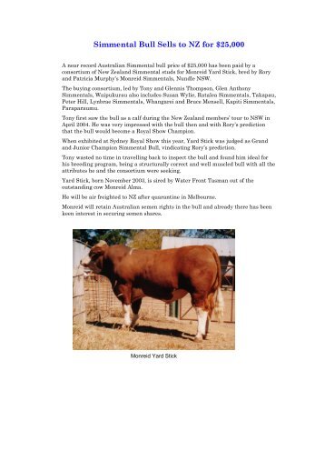 Simmental Bull Sells to NZ for $25,000 - Simmental Australia