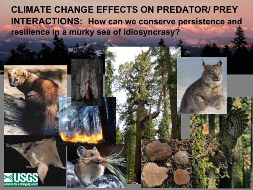 climate change effects on predator/prey interactions: how can we ...