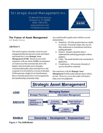 Developing an Asset Management Strategy - Plant Maintenance ...