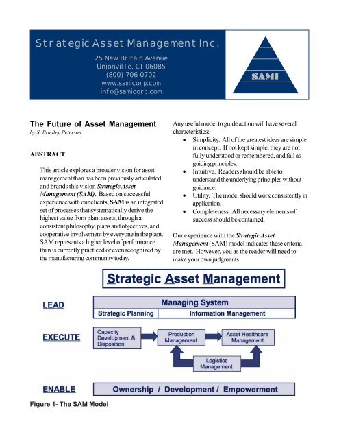 Developing an Asset Management Strategy - Plant Maintenance ...