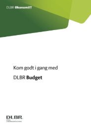 SÃ¥dan laver du Likviditetsbudget - DLBR IT