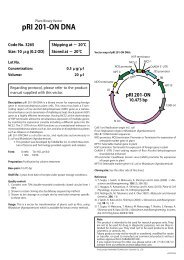 pri 101 an dna