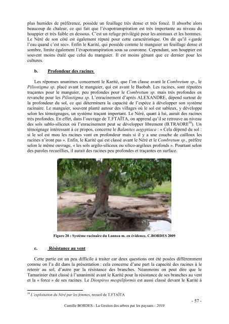 Camille BORDES - La Gestion des arbres par les - Cooperation at ...