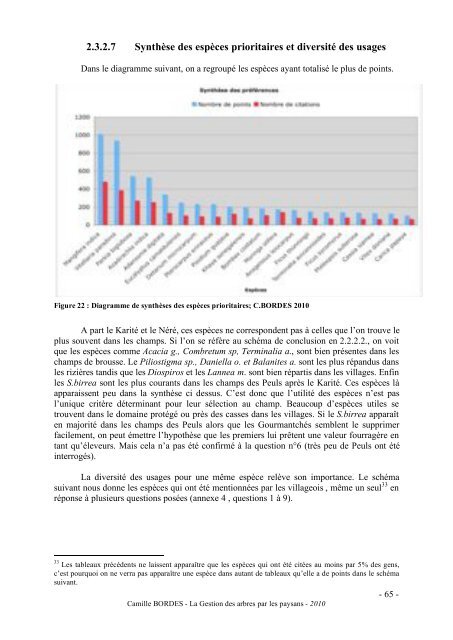 Camille BORDES - La Gestion des arbres par les - Cooperation at ...