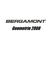 Bergamont Rahmengeometrien 2008