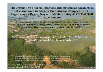 The estimation of aerial biomass and structural parameters of ...