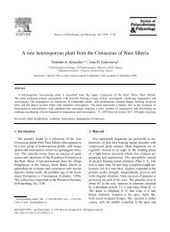 A new heterosporous plant from the Cretaceous of West Siberia