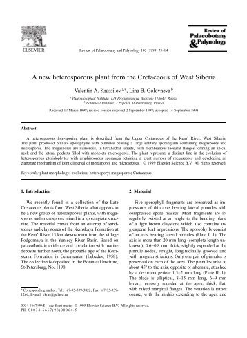 A new heterosporous plant from the Cretaceous of West Siberia