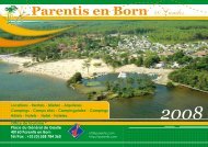 Guide 2008 des Locations (pdf) - Ville de Parentis en Born