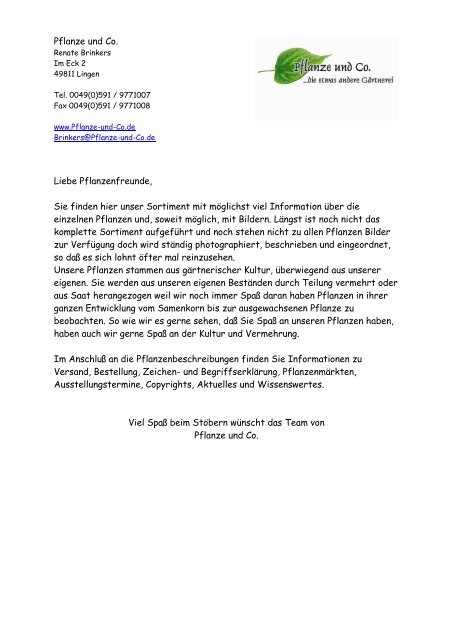 Amarine tubergenii seltene Kreuzung von Nerine und Amaryllis Zwiebel RAR