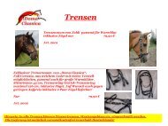 Trensen - Doma Classica