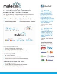 Datasheet - MuleSoft