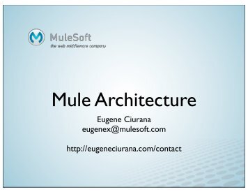 Mule Architecture - MuleSoft