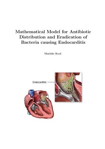 Mathematical Model for Antibiotic Distribution and Eradication of ...