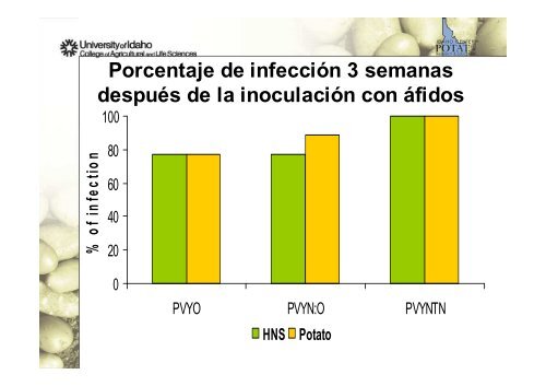 infecciones mezcladas de virus de papa y sus efectos en la biologÃ­a ...