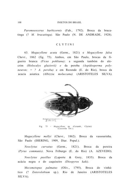 FamÃƒÂ­lia CERAMBYCIDAE - Acervo Digital de Obras Especiais