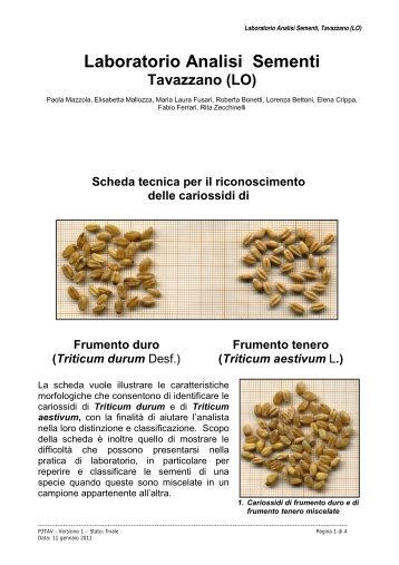 Scheda tecnica per il riconoscimento delle cariossidi - Ense