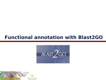 Functional annotation with Blast2GO