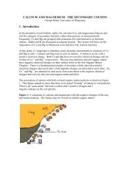 CALCIUM AND MAGNESIUM: THE SECONDARY COUSINS 1 ...