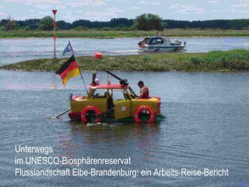 Natur und Kultur in der Flusslandschaft Elbe - Bundesverband ...