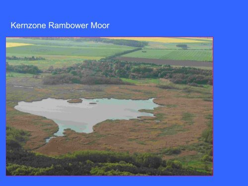 Natur und Kultur in der Flusslandschaft Elbe - Bundesverband ...