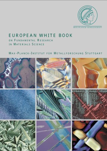 EUROPEAN WHITE BOOK