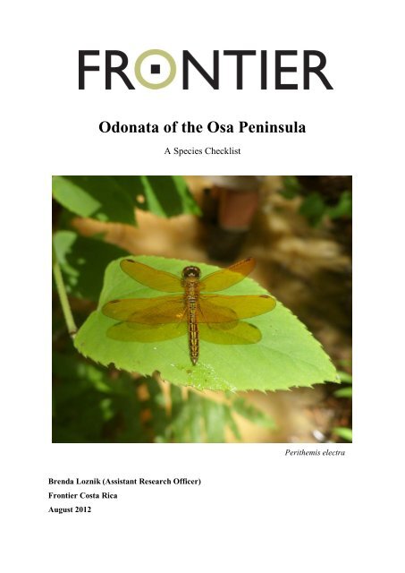 Odonata of the Osa Peninsula - Frontier