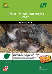 Infos und Programm zum Tiroler ... - Braunvieh Tirol